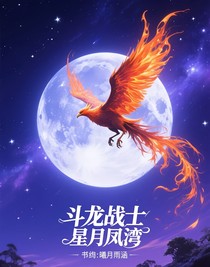 斗龙战士星月凤湾