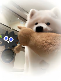 小意回憶