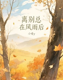 离别总在风雨后