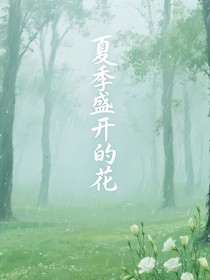 夏季盛开的花