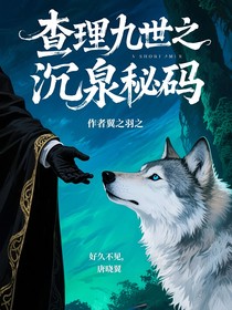 查理九世之沉泉秘码