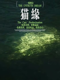 一枕槐安——猫缘
