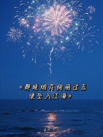 那晚煙花絢麗過后便墜入江海