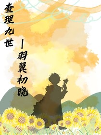 查理九世——羽翼初晓