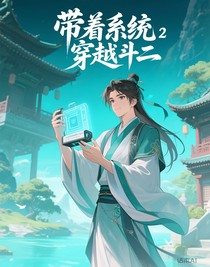 带着系统穿越斗2