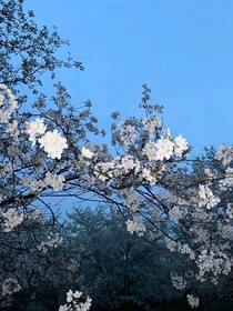章禾隨筆合集