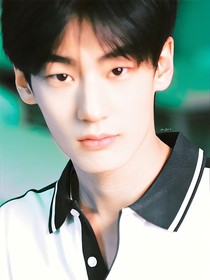 综影视：拯救意难平男二们