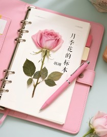 月季花的标本