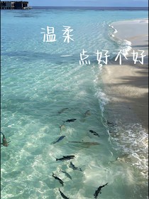 温柔一点好不好