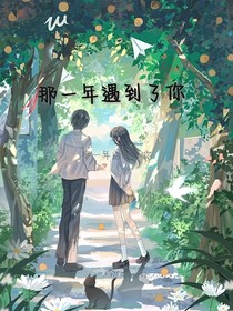那一年遇到了你