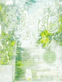 盛夏遇见风