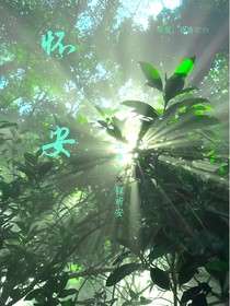 怀安（那年夏）