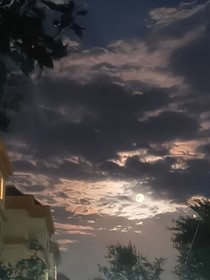 羈絆下的我們