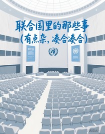 聯(lián)合國里的那些事（有點雜，湊合湊合）