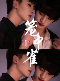 笼中雀1