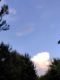 特種兵之東北虎