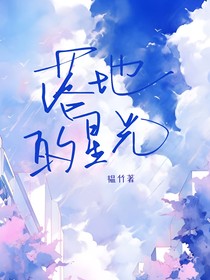 落地的星光