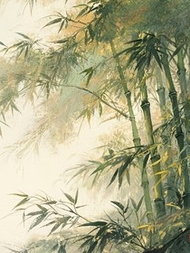 墨染清寒