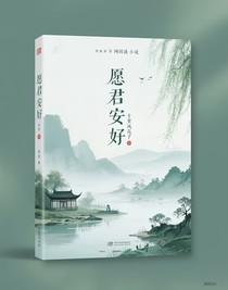 愿君安好—