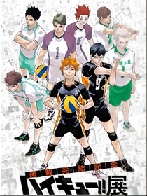 排球少年之奮斗