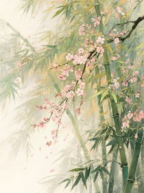 IVL：建議你們找人看看風(fēng)水