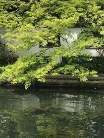 源霖我弄丟你了