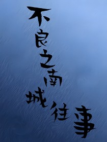 不良之南城往事