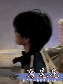 鳶尾花（all源）