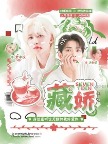 SEVENTEEN：藏娇