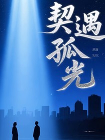 契遇孤光
