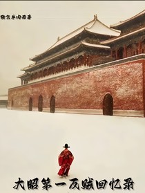大昭第一反贼回忆录