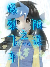爆裂飞车之阳谋