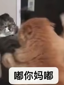 向哨：真不是她的錯(cuò)啊