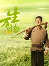 綜影視：芙蓉嬌面楚宮腰