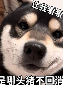 非人哉：悠閑點好啊