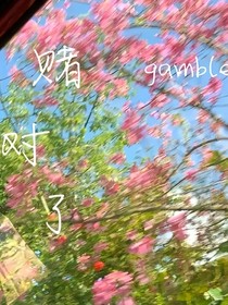桂瑞：賭對了