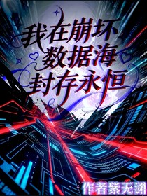 我在崩壞數(shù)據(jù)海封存永恒