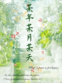 某日某夜某街