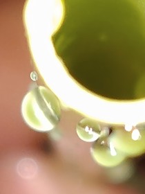 补习班：夏日炎炎