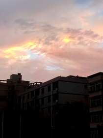 碩碩：白月光