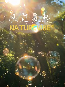 斗龍之風(fēng)過愛起