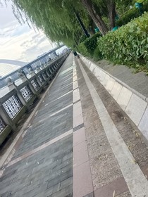 愛和失去的地平線