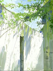 夏季晚瑜