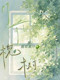 门前槐树