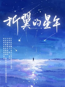 折翼的星年