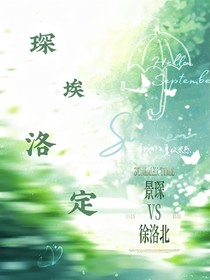 琛埃洛定