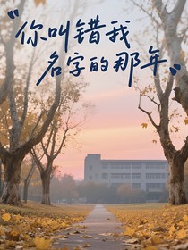 你叫错我名字的那年