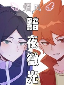 斗龍之暗夜微光