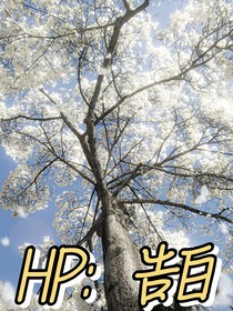 HP：告白