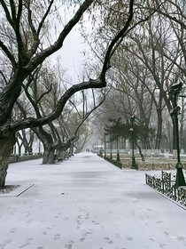 淚痛隨雪融化